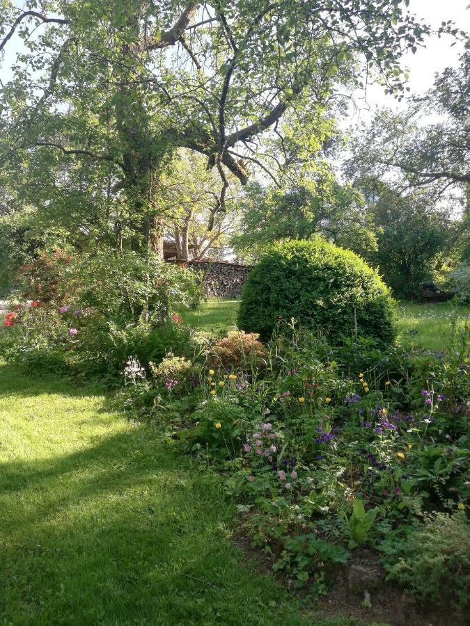 Anna - Neue Ferienwohnung Mit Blick Ins Gruene Ober-Abtsteinach ภายนอก รูปภาพ